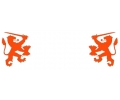  Nederlands Elftal tattoo voorbeeld Holland Leeuwen
